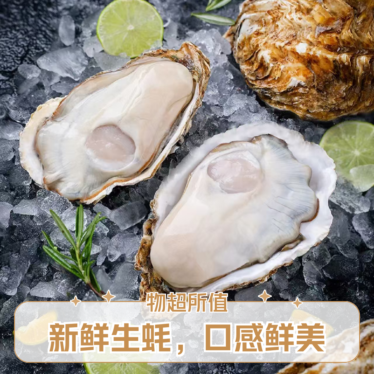 【鑫鑫优选】精品3+大生蚝 10只装 （单只3两/150克以上）