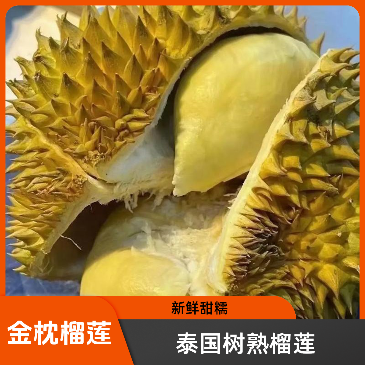 （4号链接）泸州同城配送 泰国金枕树熟榴莲新鲜核大 斤（一果一拍）榴莲同城配金枕泰国东部