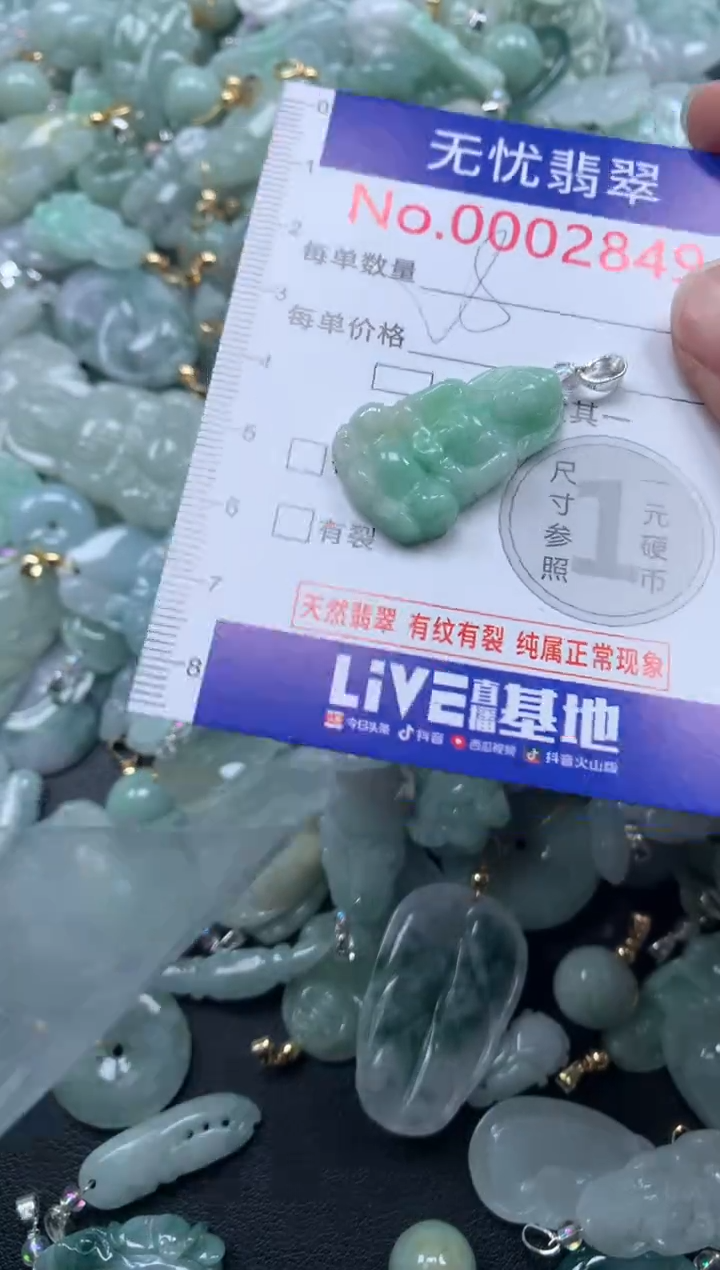 颈饰未镶嵌翡翠2849