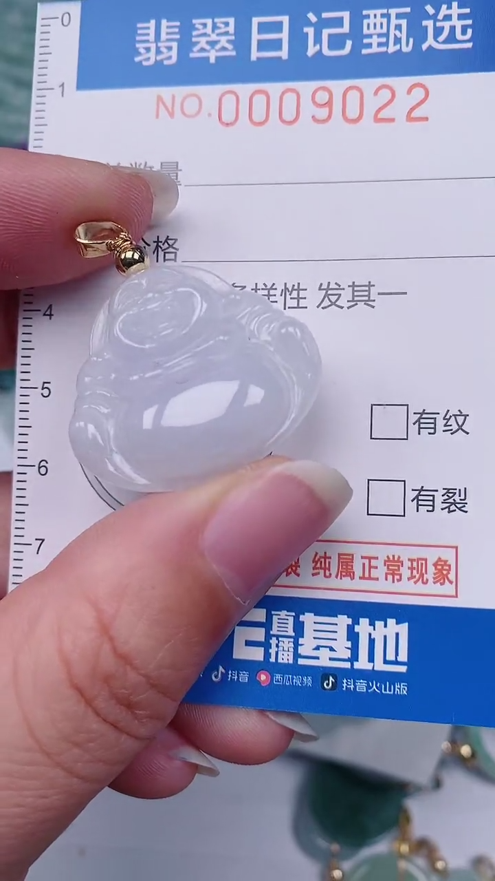 【闪购商品】翡翠颈饰未镶嵌00009022