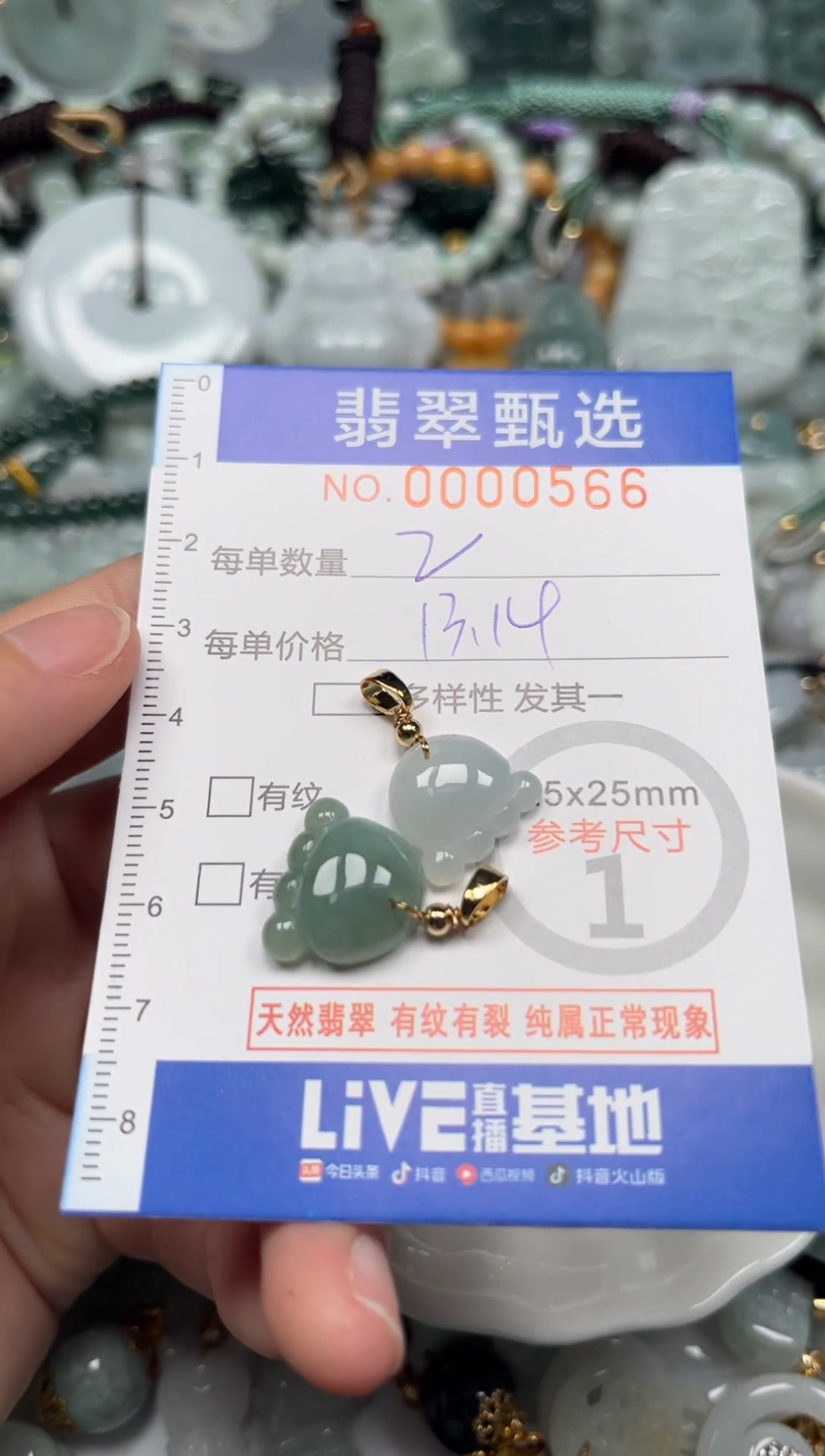 【闪购商品】翡翠颈饰未镶嵌00..0566