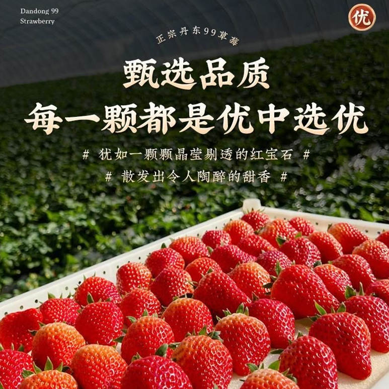 【福利装买2斤送1斤】头茬【丹东99草莓】10-30g应季水果顺丰包邮