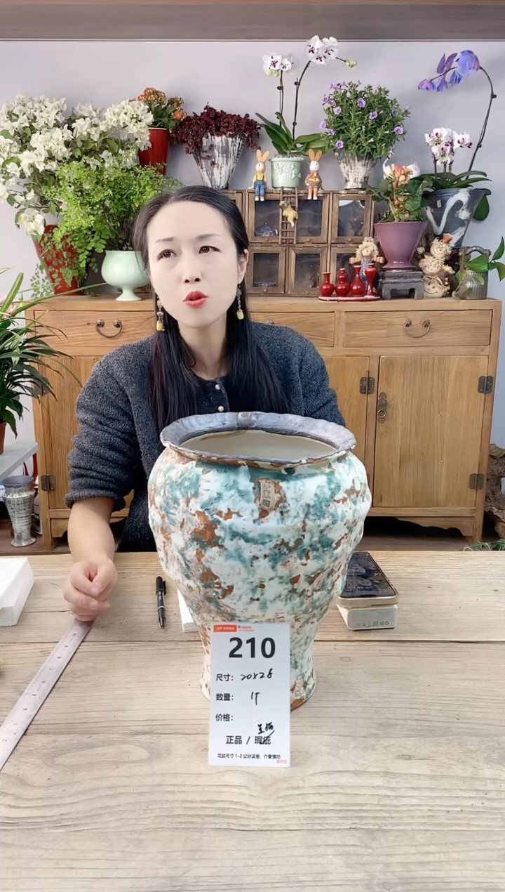 小玩子花盆直播编号210