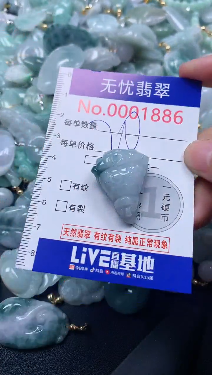 颈饰未镶嵌翡翠1886