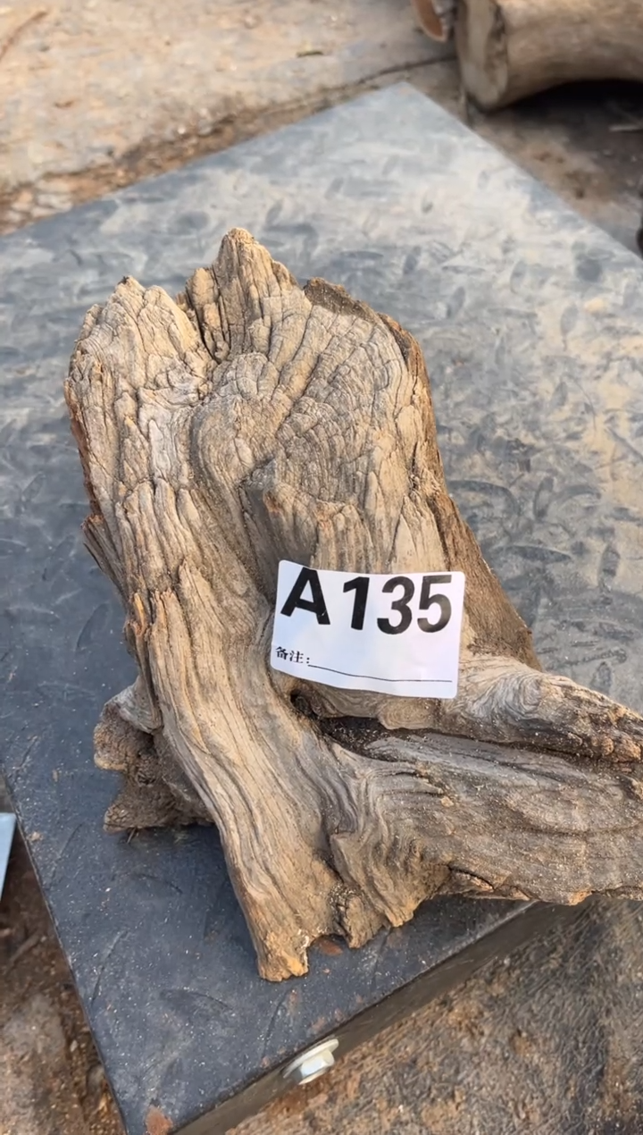 柏木（崖柏）太行崖柏茶头