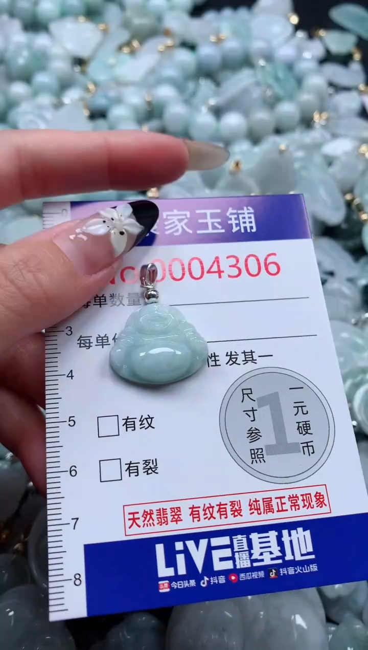 颈饰未镶嵌翡翠4006
