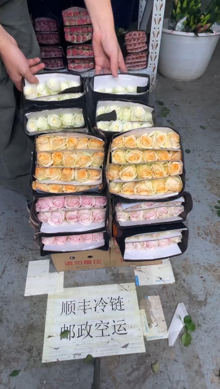 粉红20枝+香槟20枝+白雪山20枝