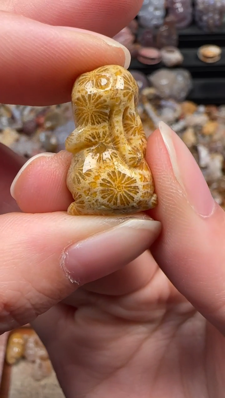 颈饰未镶嵌硅化珊瑚（珊瑚玉）119