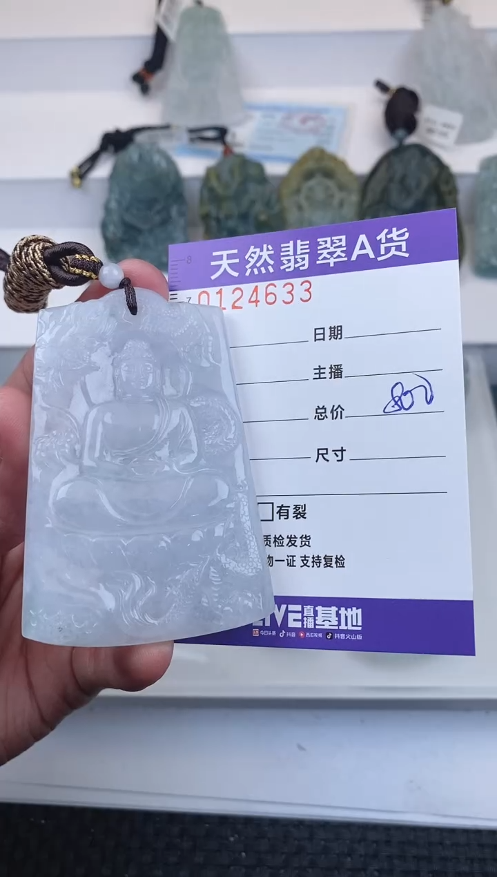 【闪购商品】翡翠颈饰未镶嵌         633