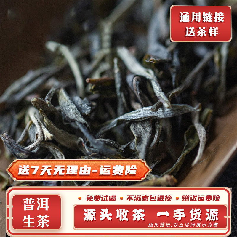 2025年大雪山单株生散茶100克