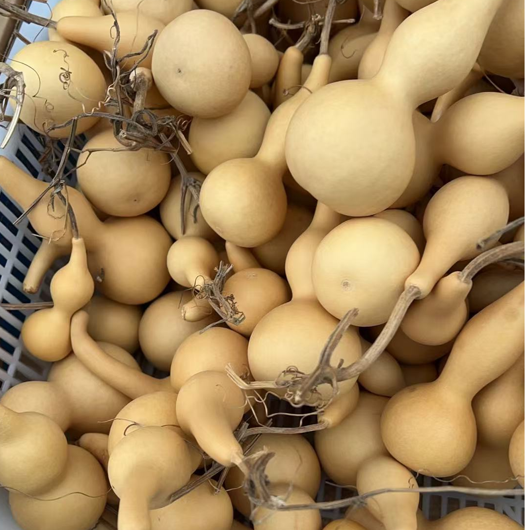 八仙阁葫芦二号链接