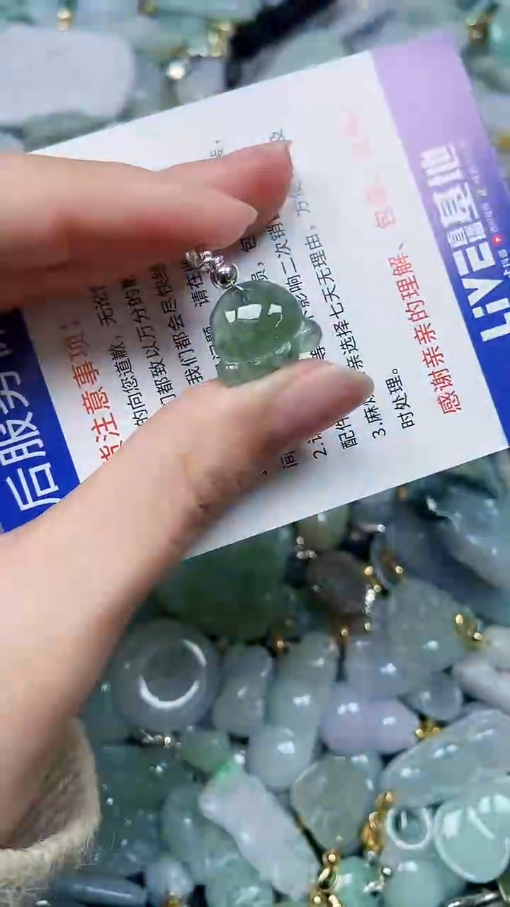 【闪购商品】翡翠颈饰未镶嵌闪购00005229