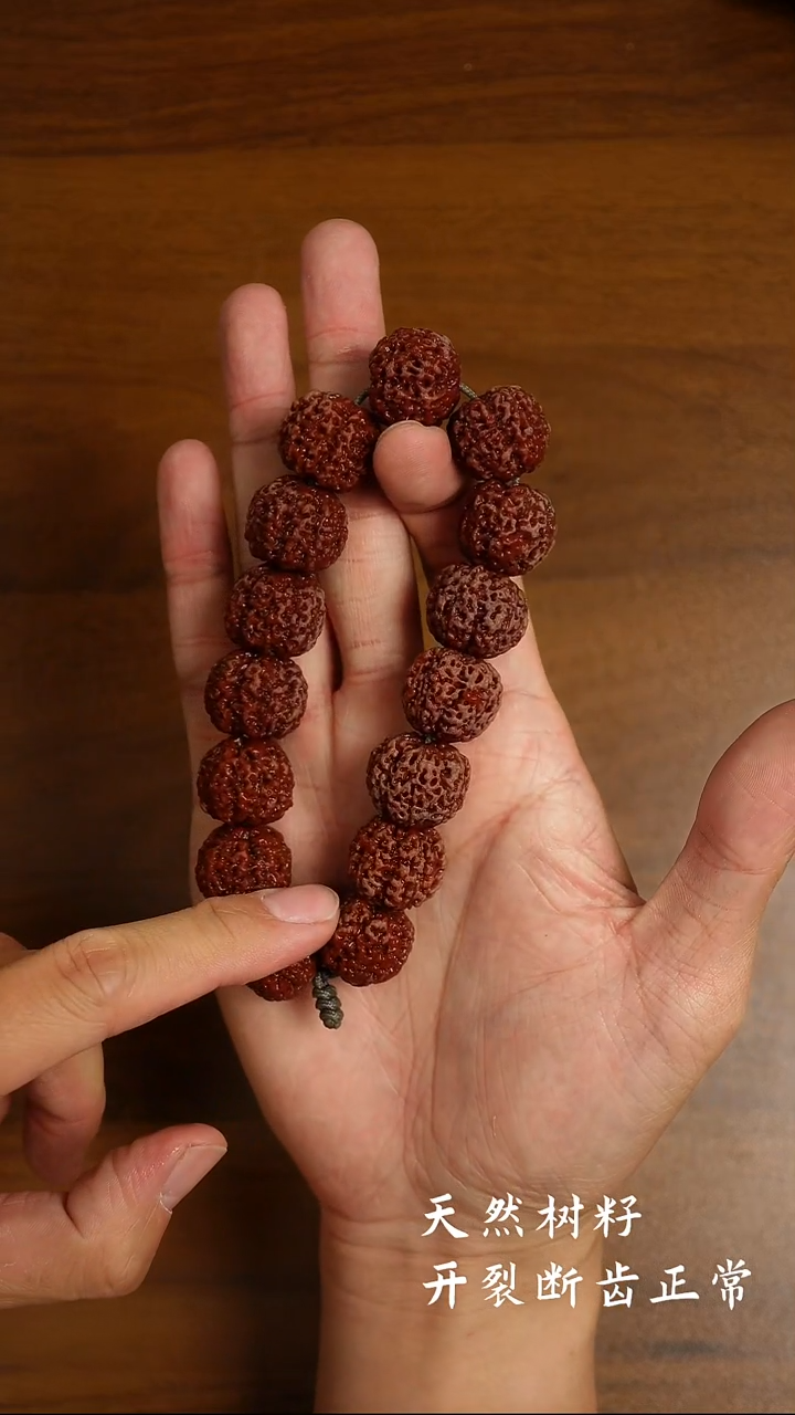 手串金刚菩提满蜂窝20.66