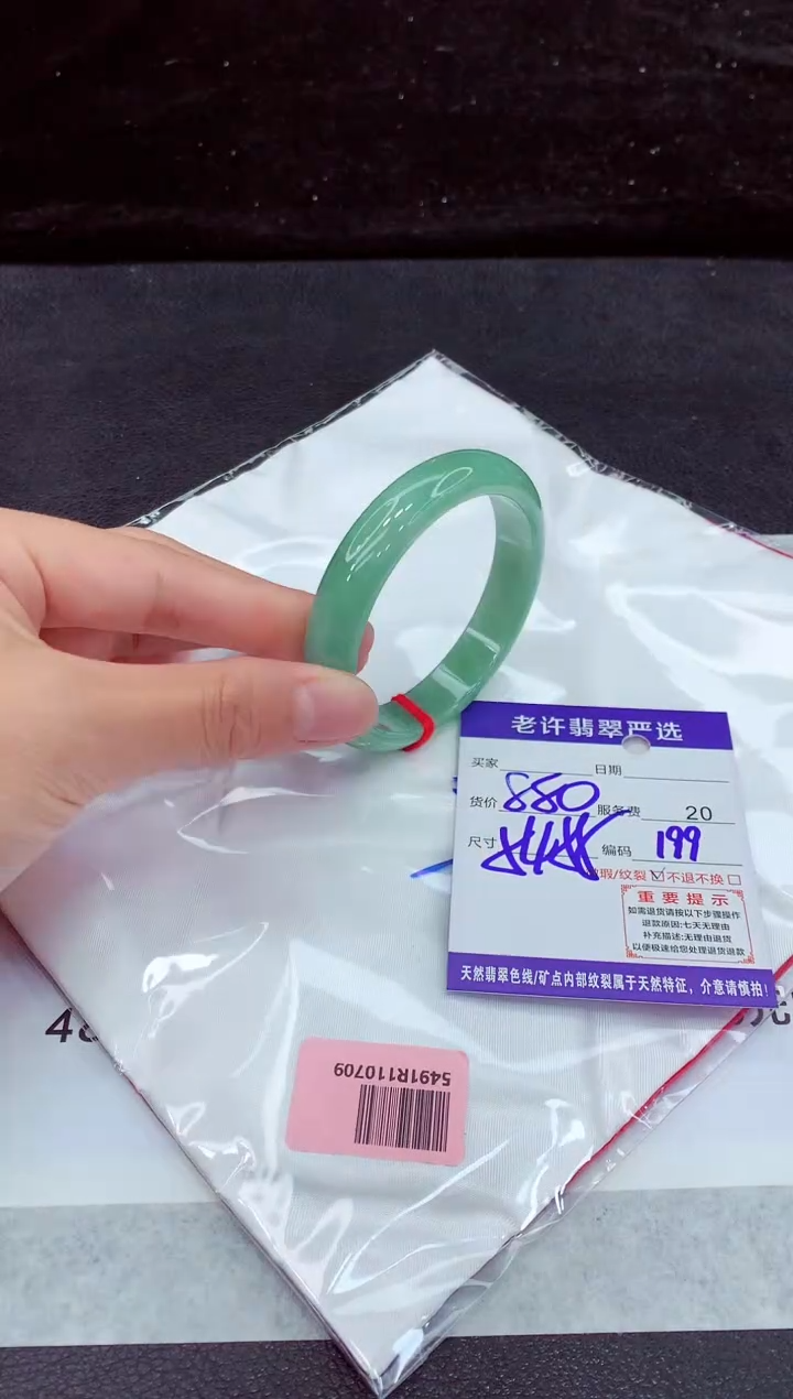 未镶嵌手镯翡翠1