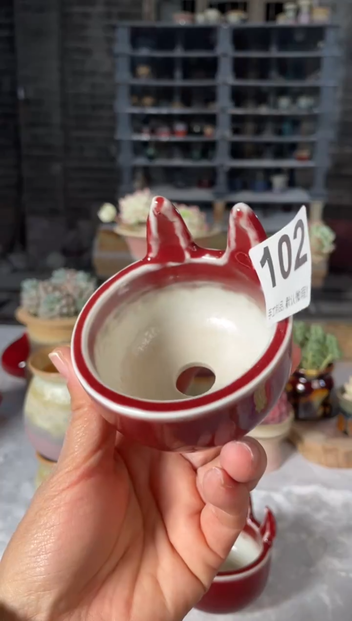 瓷片102小芳直播编号