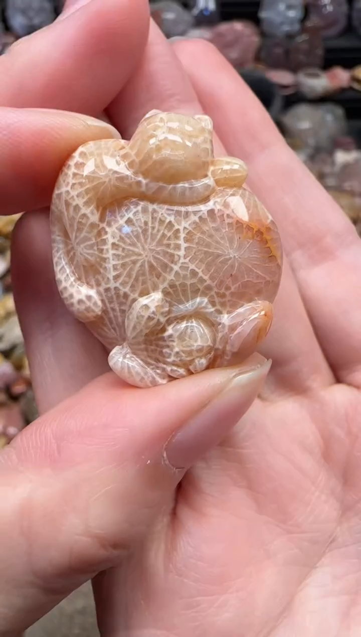 颈饰未镶嵌硅化珊瑚（珊瑚玉）252
