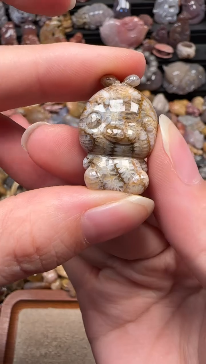 颈饰未镶嵌硅化珊瑚（珊瑚玉）723