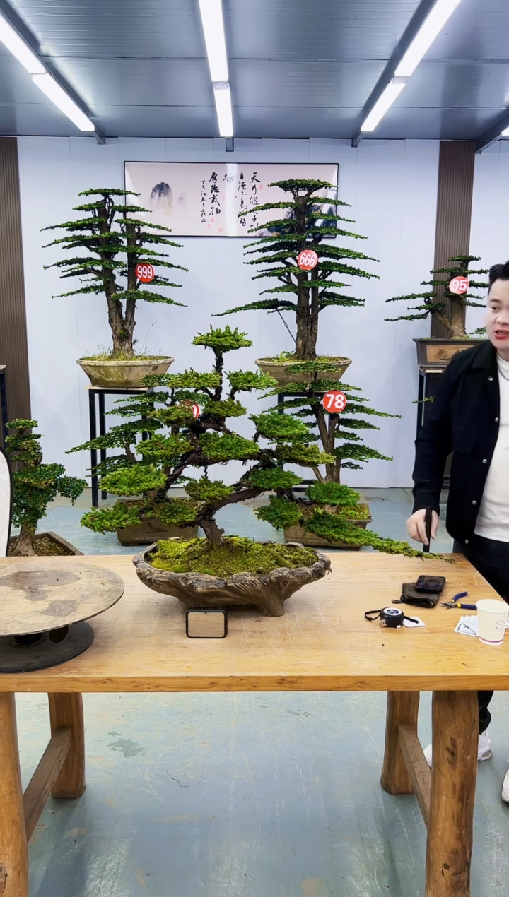 以实际为准0000000