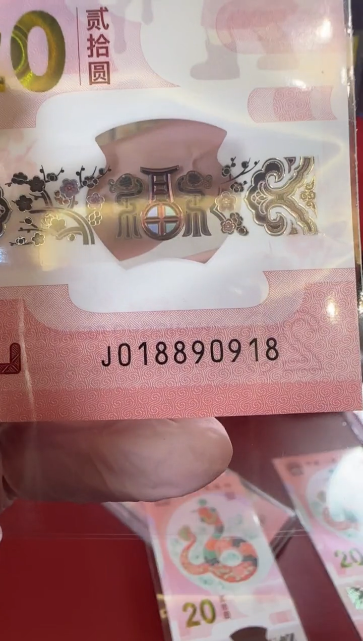 【闪购商品】塑料25蛇钞018890918单张裸