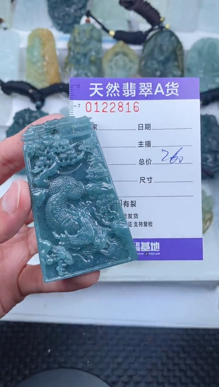 【闪购商品】翡翠颈饰未镶嵌        816