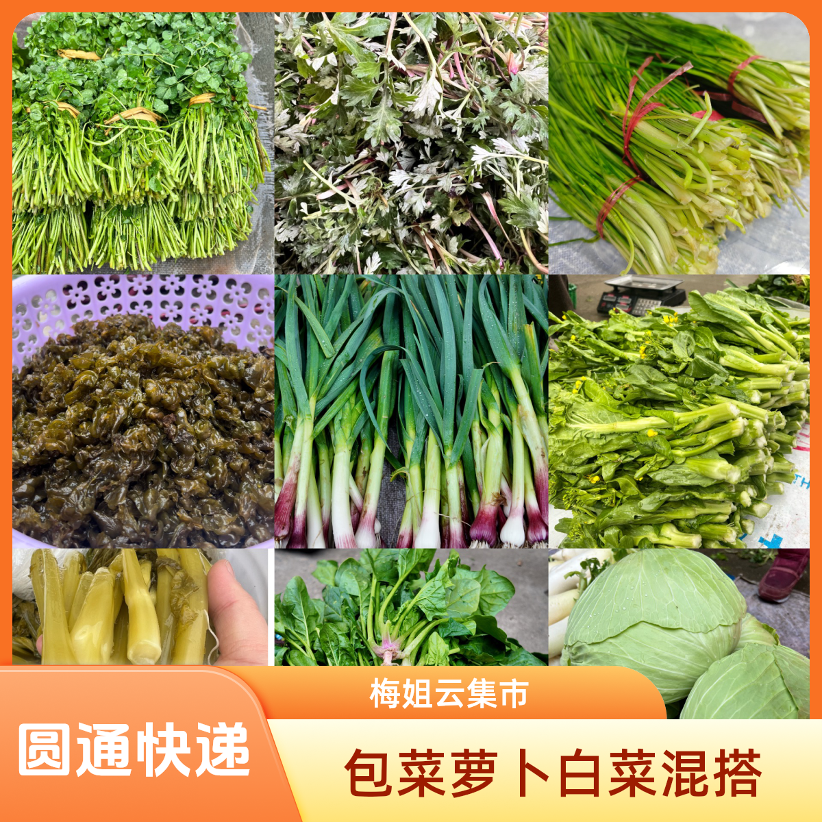 【圆通包邮】农家种植露天蔬菜（1个包菜+一个上海青+白萝卜）共5斤