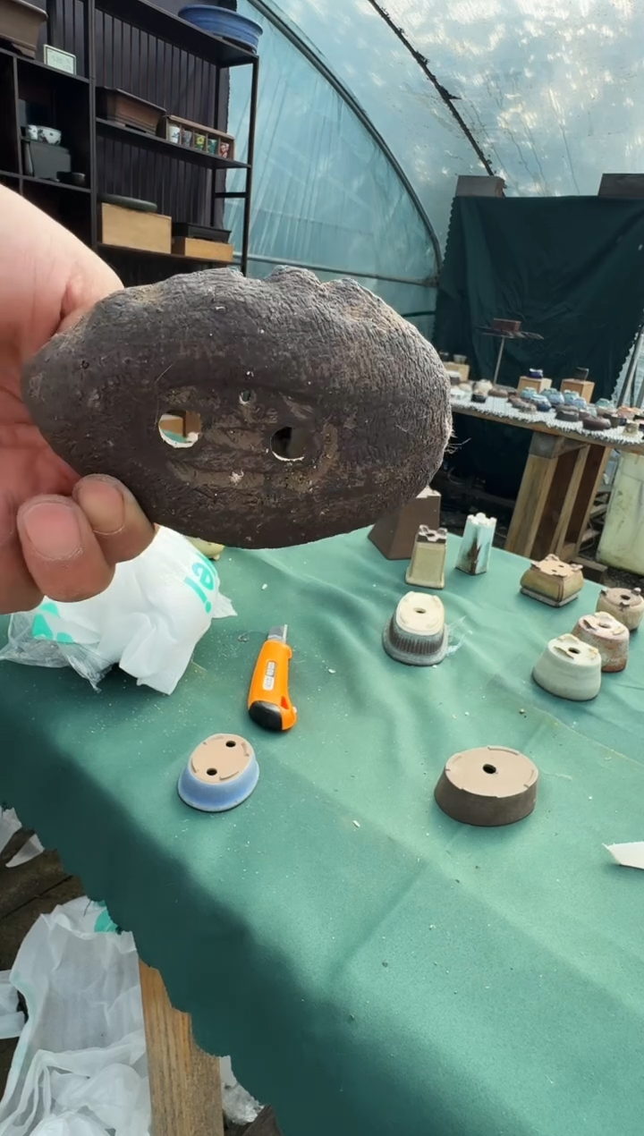 玉**段花盆闪购定向链接