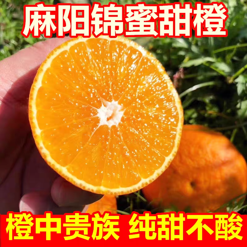 湖南麻阳锦蜜冰糖橙甜橙超甜当季新鲜水果5/9斤包邮多汁