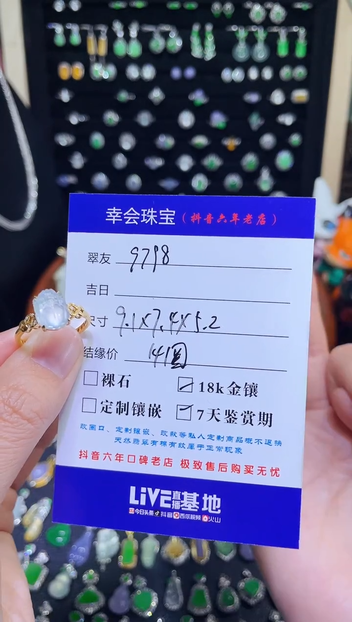颈饰18K金镶嵌翡翠用****9玻璃种貔貅戒指