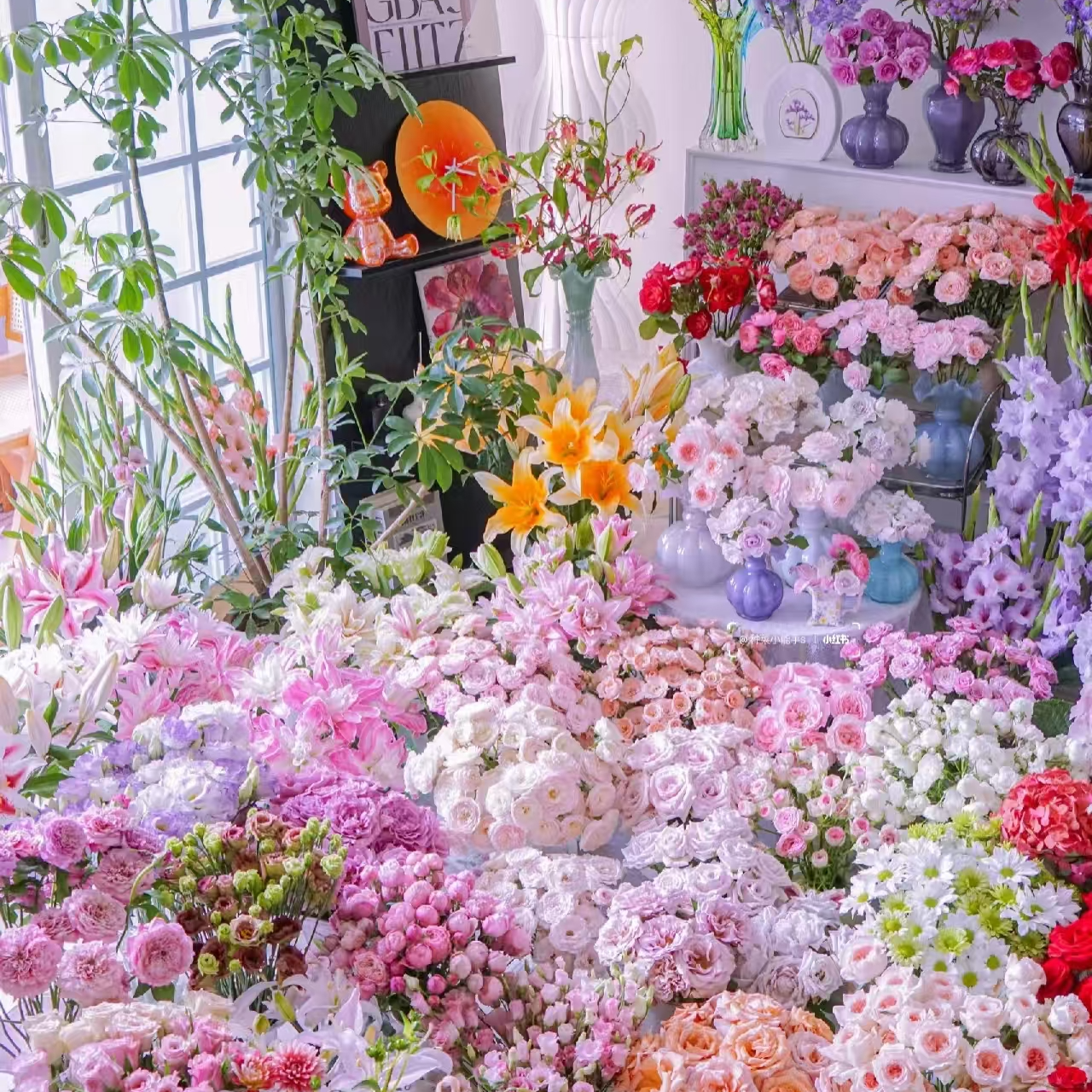 【不包邮】4单一个运费云南昆明基地直发