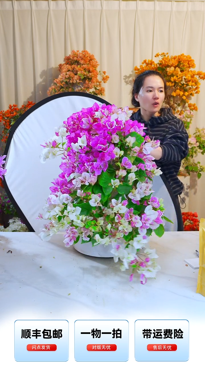 大部分开放少量花苞章红樱