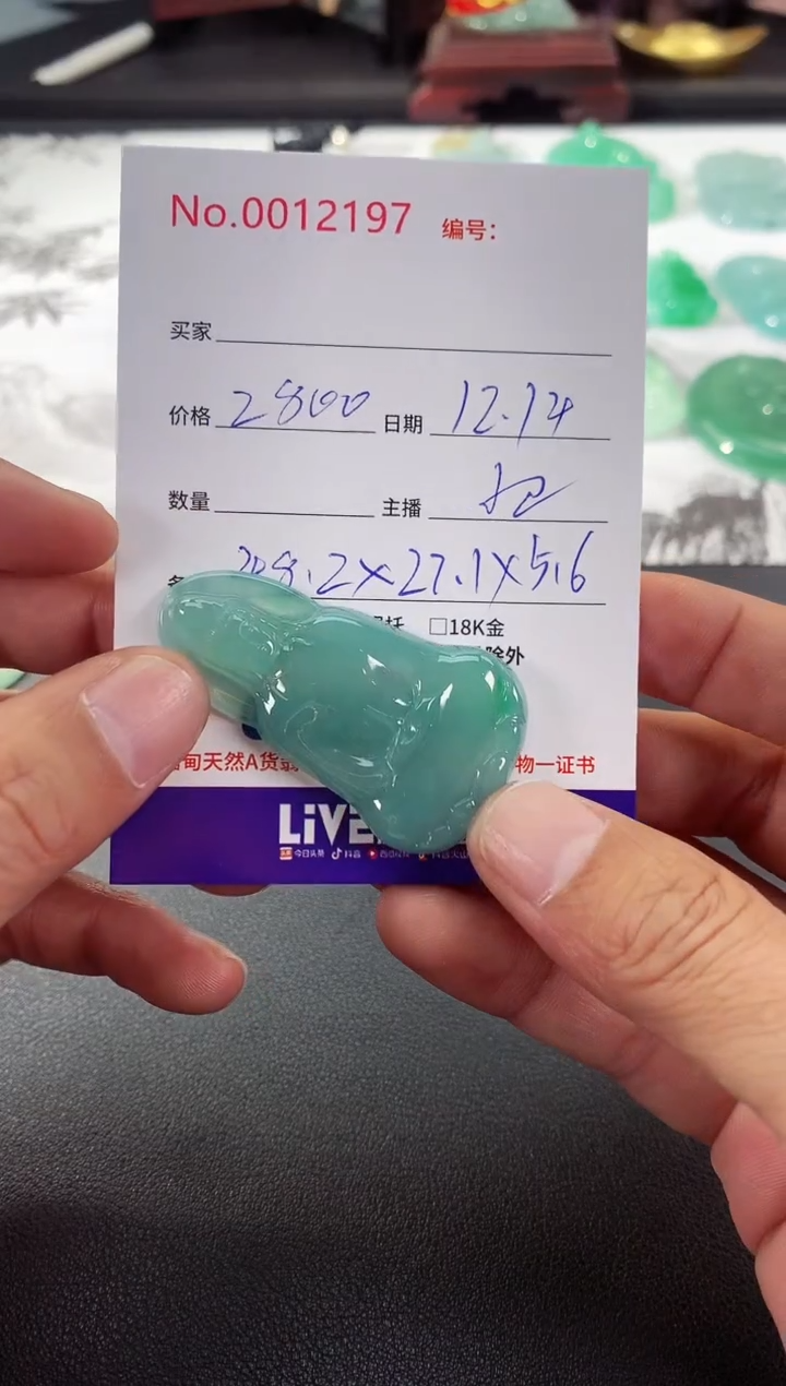 颈饰未镶嵌翡翠素衣