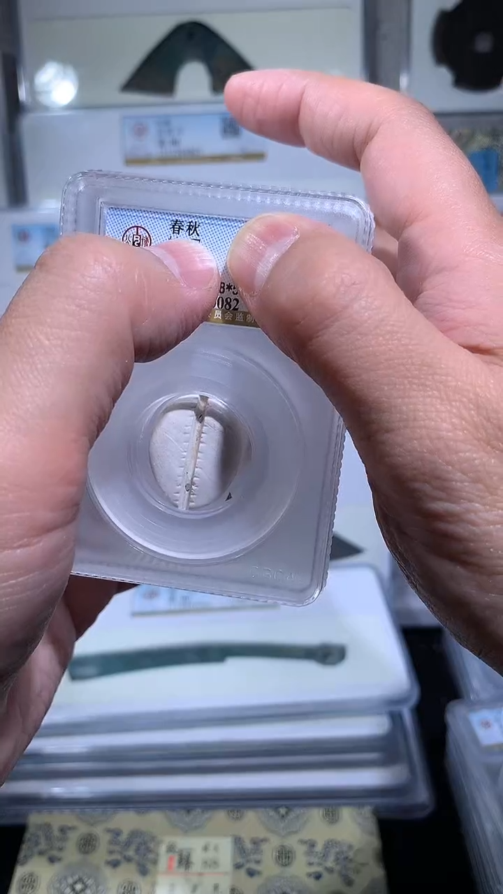 【闪购商品】铜御泉收藏蚌bei一枚