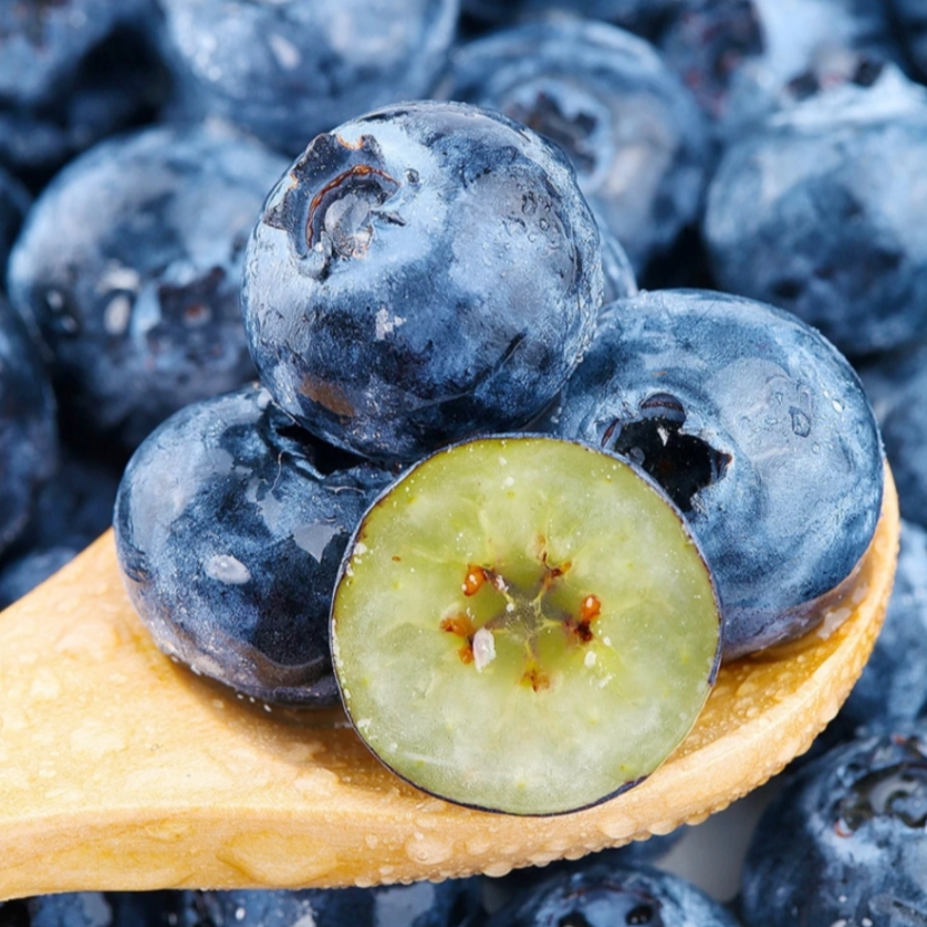 莓好专属【6盒装头茬特大果】花香蓝莓18-15mm 现摘现发 100g/盒6盒顺丰发货江苏省