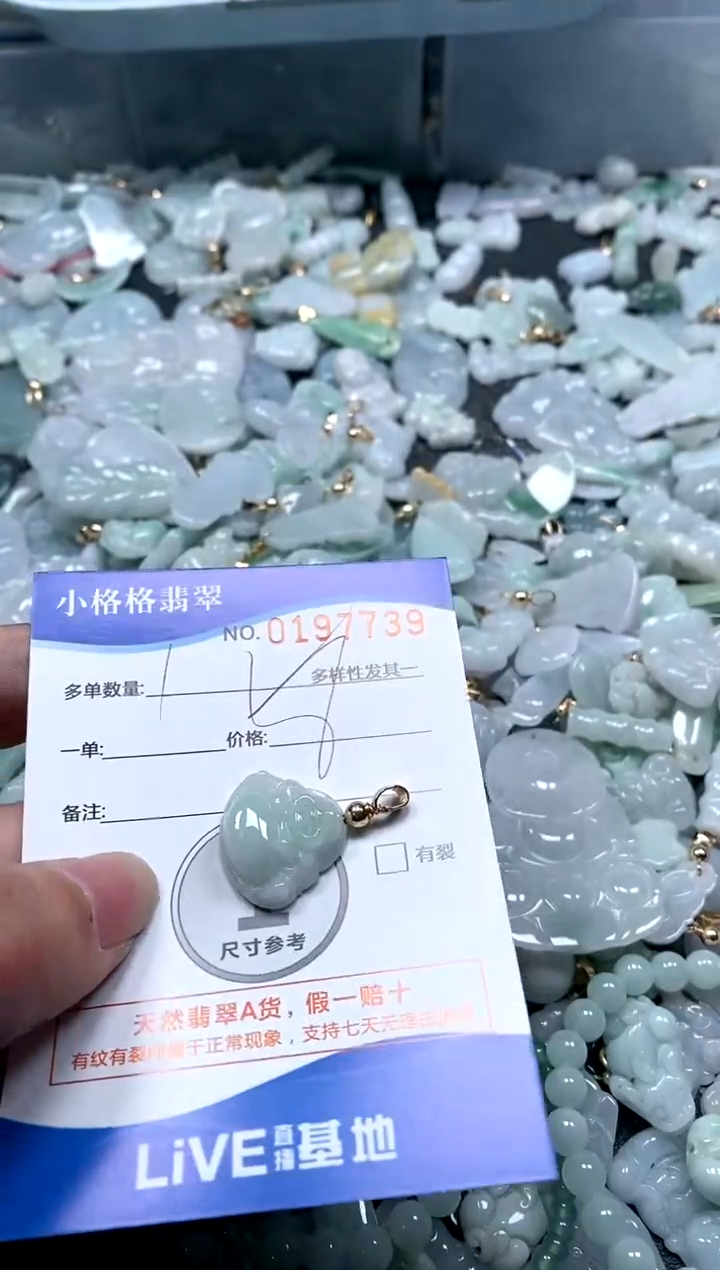 【闪购商品】翡翠颈饰未镶嵌闪购商品0197739