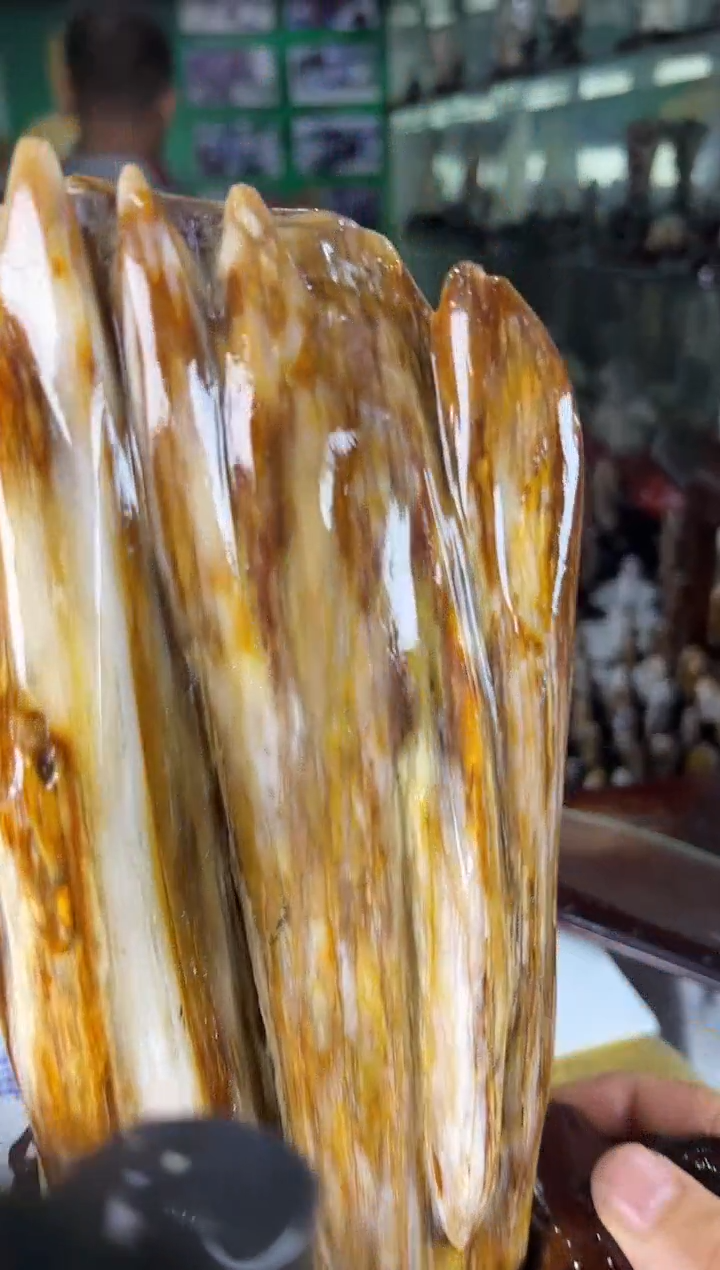 未镶嵌珠宝奇石硅化玉缅甸天然树化玉摆件