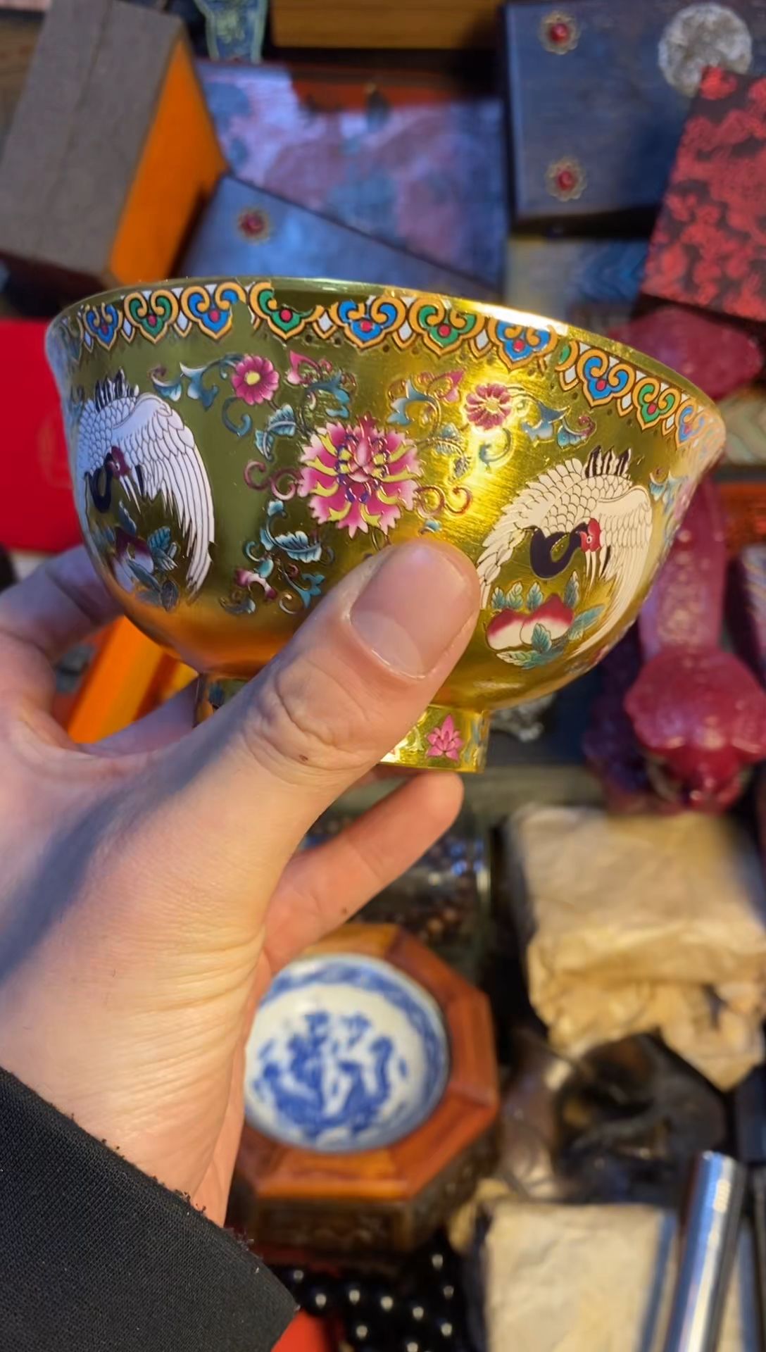 【闪购商品】主播推荐主播推荐