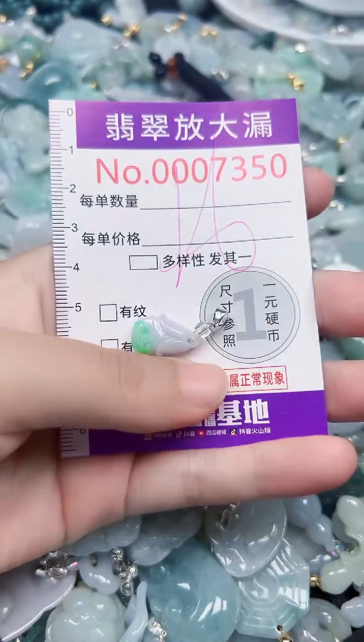 颈饰未镶嵌翡翠7350