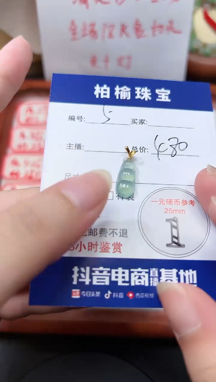 翡翠18K金镶嵌颈饰5豆子