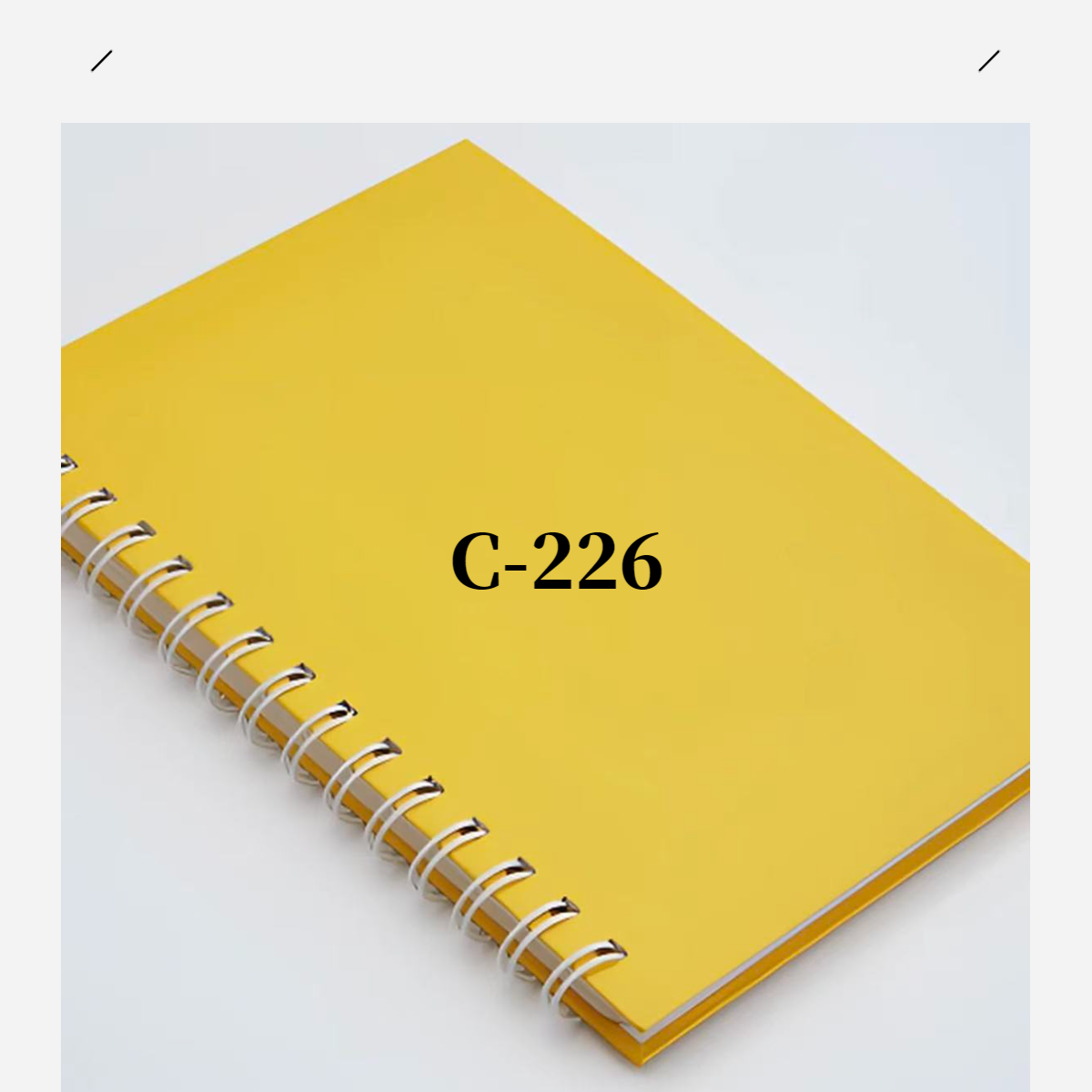 动物城公仔挂价玩具（一单到手24个）C-226