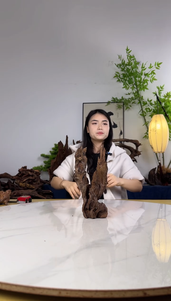 旭****长拍沉木定向链接编号43