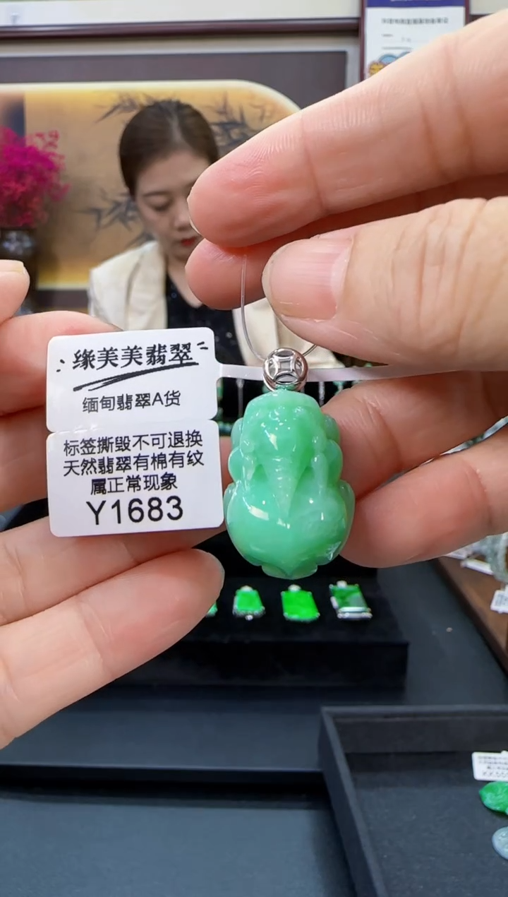 吊坠(不含链)18K金镶嵌翡翠Y1683貔貅