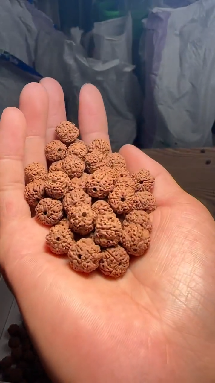 金刚菩提手串非全品平细散籽11-12mm一份一百颗