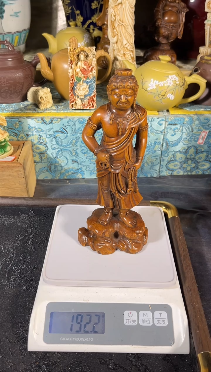 黄杨木111111111111111111