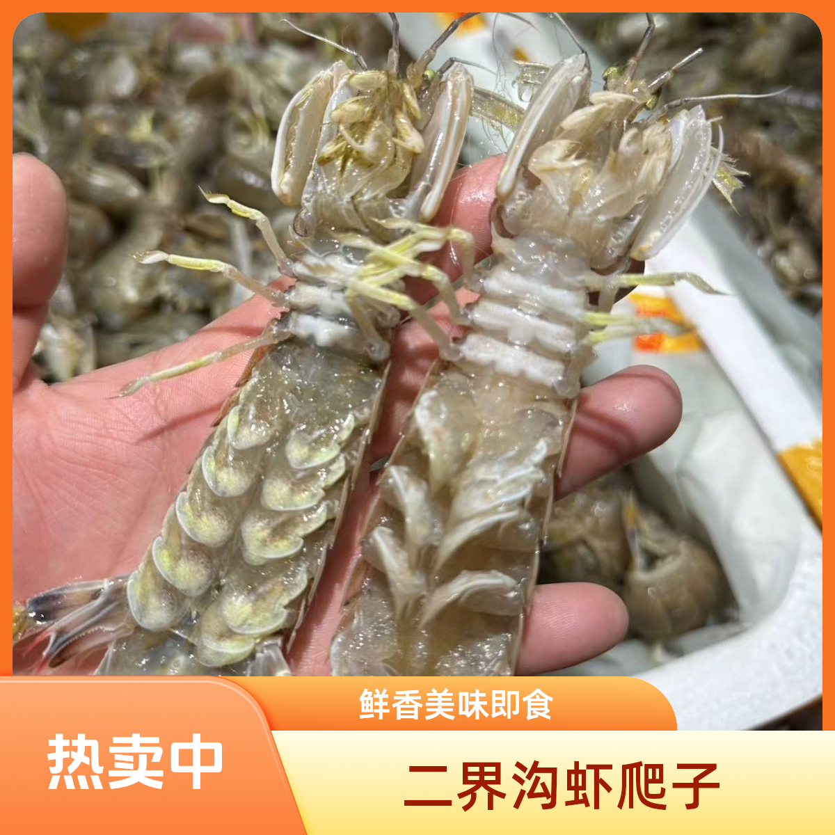 二界沟虾爬子4斤（吃肉）保鲜不保活