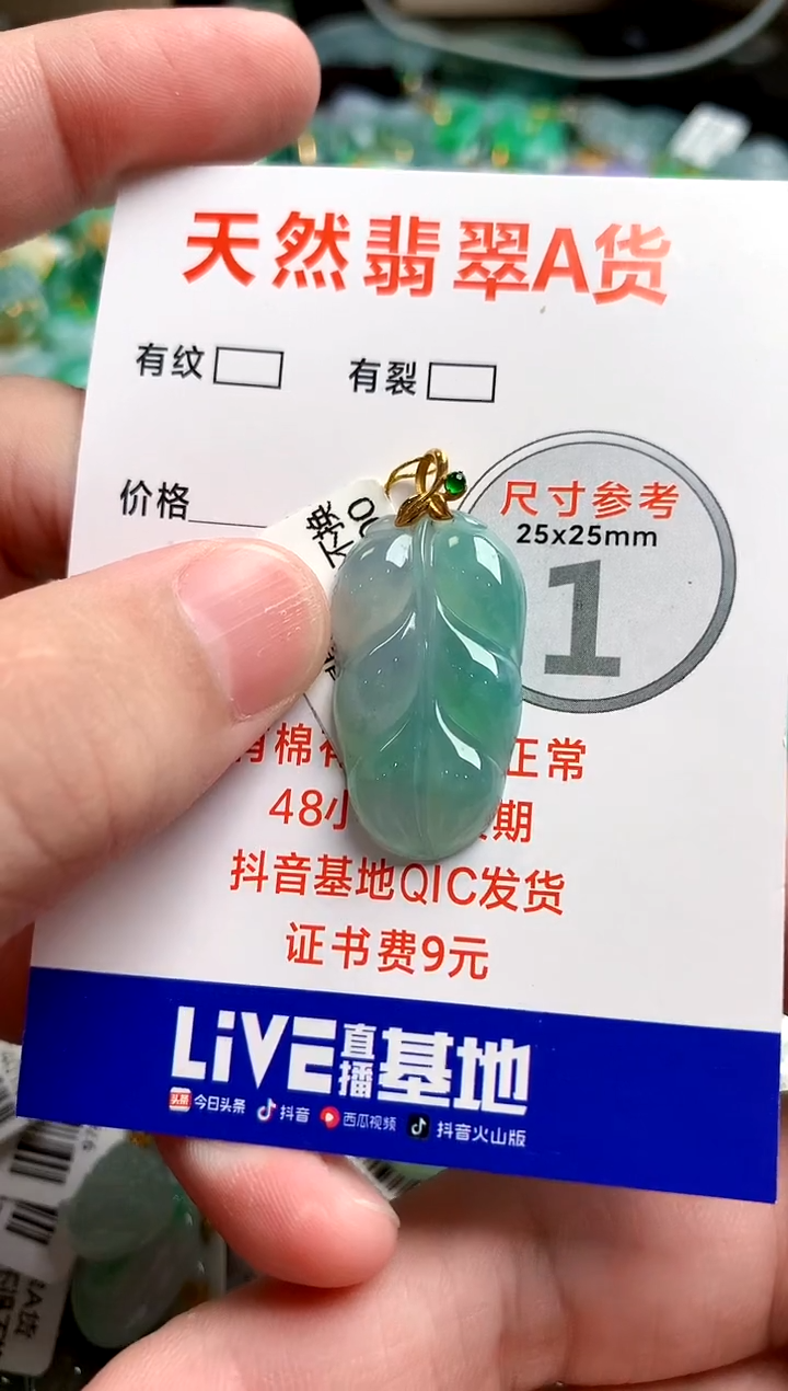 翡翠18K金镶嵌颈饰0768172569