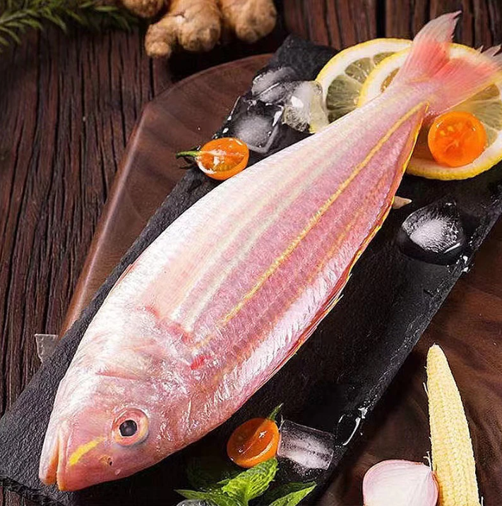 大金线鱼 金丝鱼广东本港灯光正宗野生海鱼2-3条/斤 帮杀