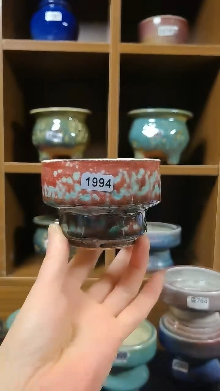 【闪购商品】红陶1994