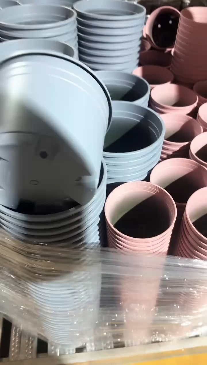 矮胖1.5加仑蓝色粉色混色10只装