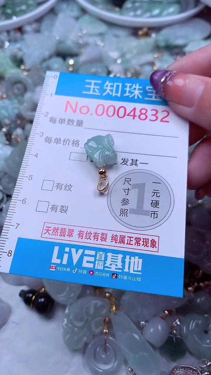 翡翠未镶嵌吊坠(不含链)4832