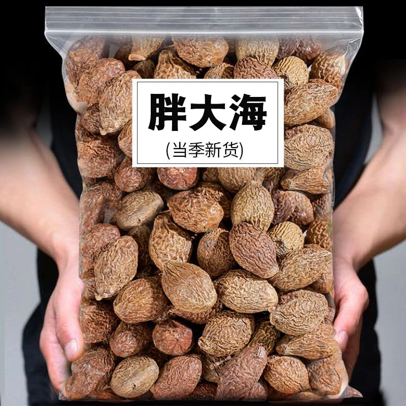 【今年新果】广西胖大海精选大海子泡茶可搭罗汉果菊花泡水